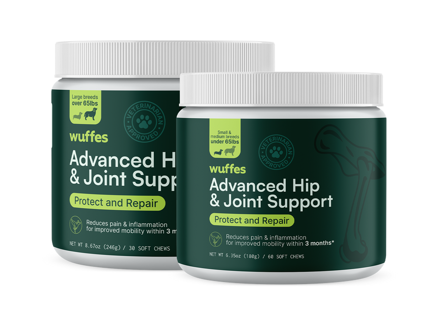 Advanced Hip & Joint Support for Large Breeds